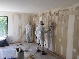 Mold Removal for HVAC Installations in Castle Shannon, PA